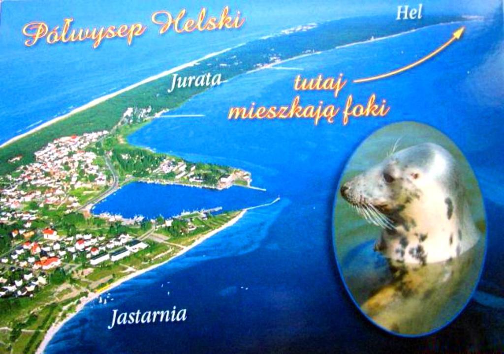 Rades Bed & Breakfast Wladyslawowo Bagian luar foto
